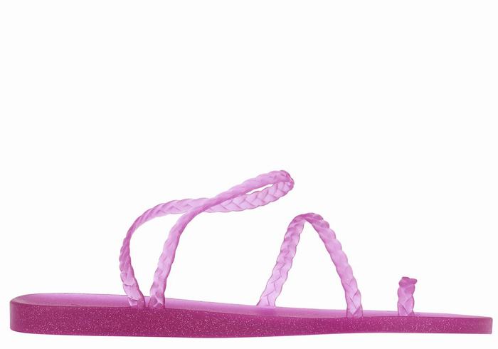 Women Ancient Greek Sandals Eleftheria Braided Sandals Purple | ZFR2178WQ