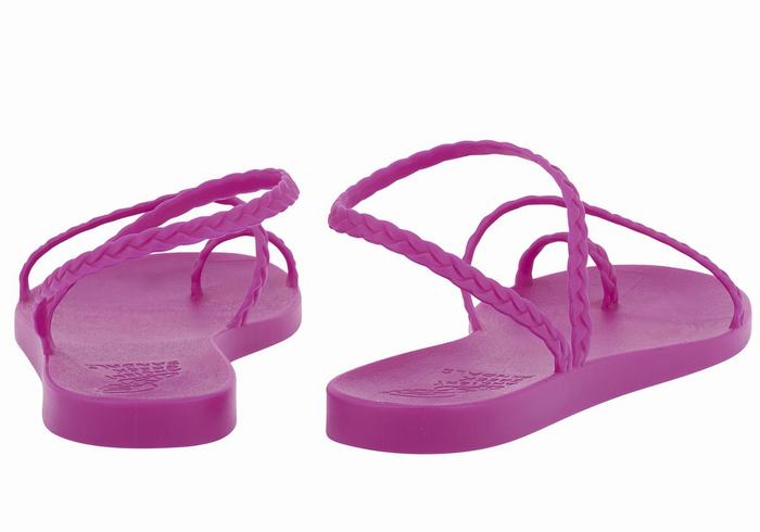 Women Ancient Greek Sandals Eleftheria Braided Sandals Purple | AAN1597WC