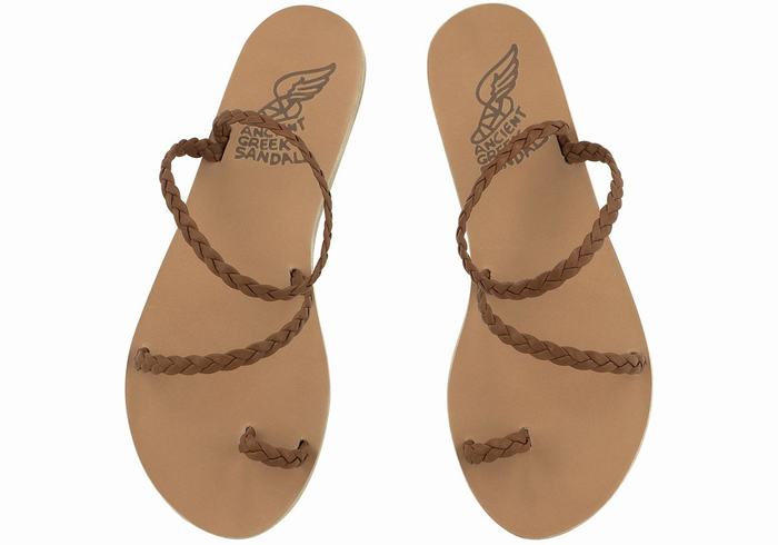 Women Ancient Greek Sandals Eleftheria Leather Braided Sandals Chocolate | ZXF5643EH