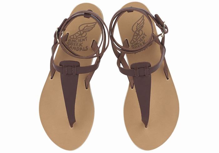 Women Ancient Greek Sandals Estia Leather Ankle Strap Sandals Coffee | IZS3422AL