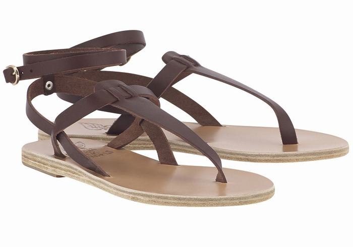 Women Ancient Greek Sandals Estia Leather Ankle Strap Sandals Coffee | IZS3422AL