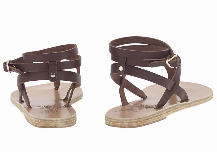 Women Ancient Greek Sandals Estia Leather Ankle Strap Sandals Coffee | IZS3422AL