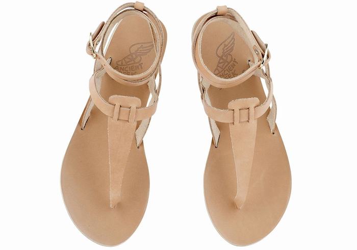 Women Ancient Greek Sandals Estia Leather Ankle Strap Sandals Beige | JGL2868SL