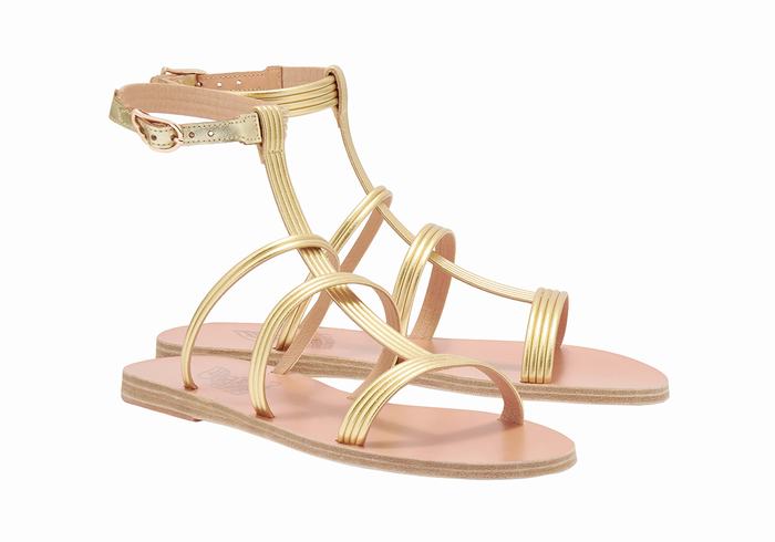 Women Ancient Greek Sandals Frigia Ankle Strap Sandals Gold | YWD8249PV