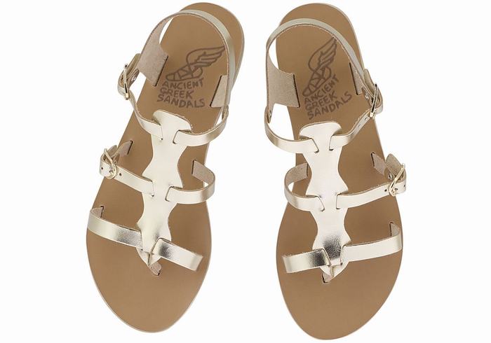 Women Ancient Greek Sandals Grace Kelly Leather Casual Sandals Gold White | TCZ2763EY