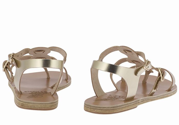 Women Ancient Greek Sandals Grace Kelly Leather Casual Sandals Gold White | TCZ2763EY