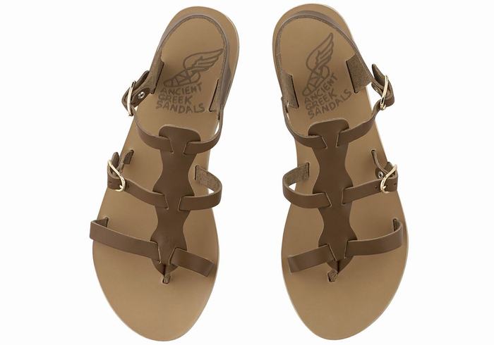 Women Ancient Greek Sandals Grace Kelly Leather Casual Sandals Dark Brown | JHY376IP