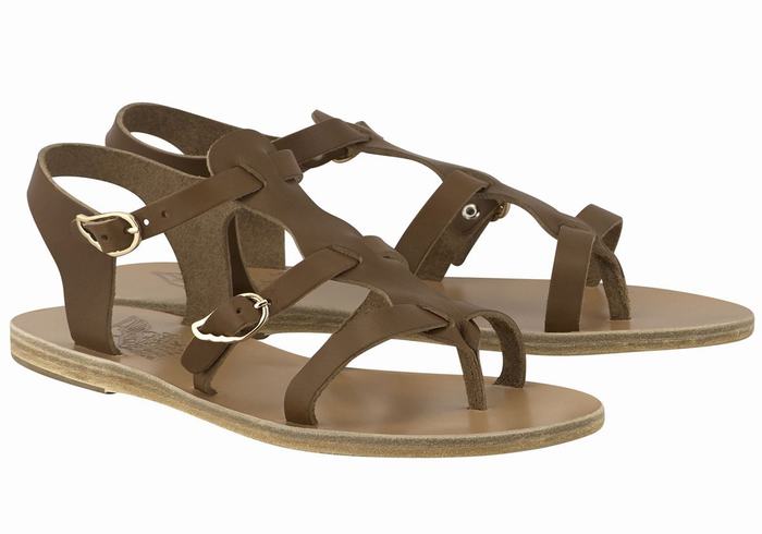 Women Ancient Greek Sandals Grace Kelly Leather Casual Sandals Dark Brown | JHY376IP