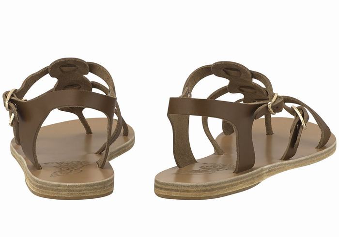 Women Ancient Greek Sandals Grace Kelly Leather Casual Sandals Dark Brown | JHY376IP