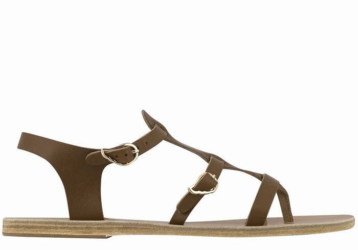 Women Ancient Greek Sandals Grace Kelly Leather Casual Sandals Dark Brown | JHY376IP