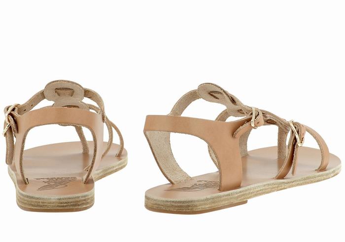 Women Ancient Greek Sandals Grace Kelly Leather Casual Sandals Beige | WQG1782SX