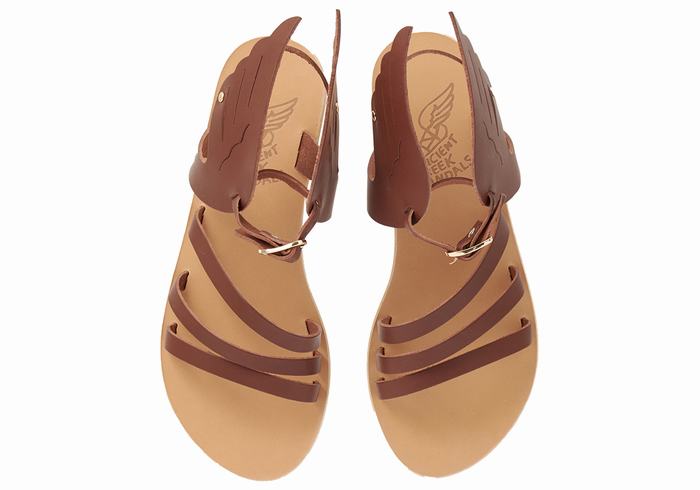 Women Ancient Greek Sandals Ikaria Leather Ankle Strap Sandals Coffee | BZI8246TM