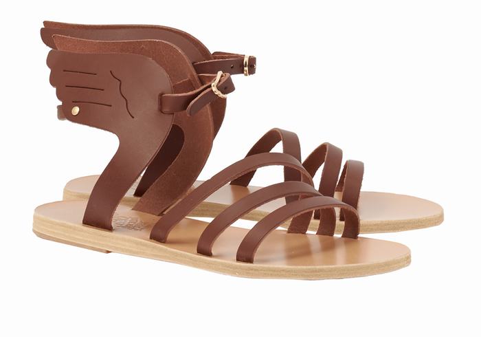 Women Ancient Greek Sandals Ikaria Leather Ankle Strap Sandals Coffee | BZI8246TM