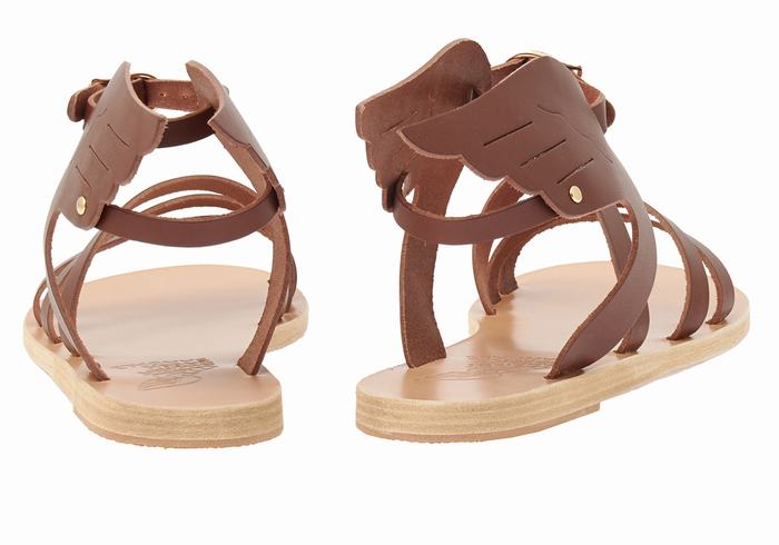 Women Ancient Greek Sandals Ikaria Leather Ankle Strap Sandals Coffee | BZI8246TM