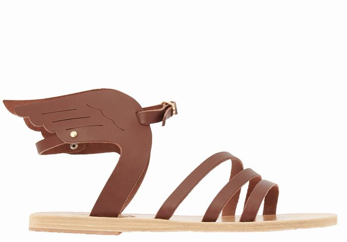 Women Ancient Greek Sandals Ikaria Leather Ankle Strap Sandals Coffee | BZI8246TM