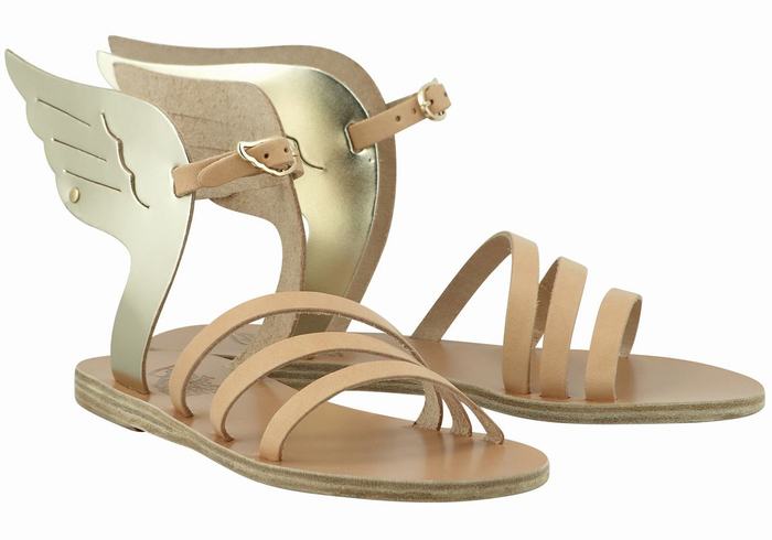 Women Ancient Greek Sandals Ikaria Leather Ankle Strap Sandals Beige Gold White | HJX3452IS