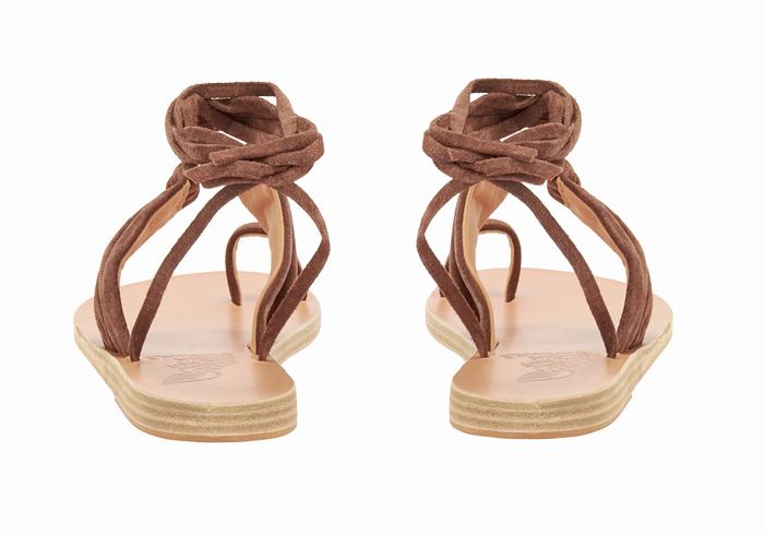 Women Ancient Greek Sandals Kerasia Gladiator Sandals Coffee | IEM1634TT