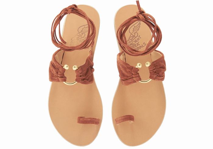 Women Ancient Greek Sandals Kerasia Gladiator Sandals Coffee | HCS8391SR