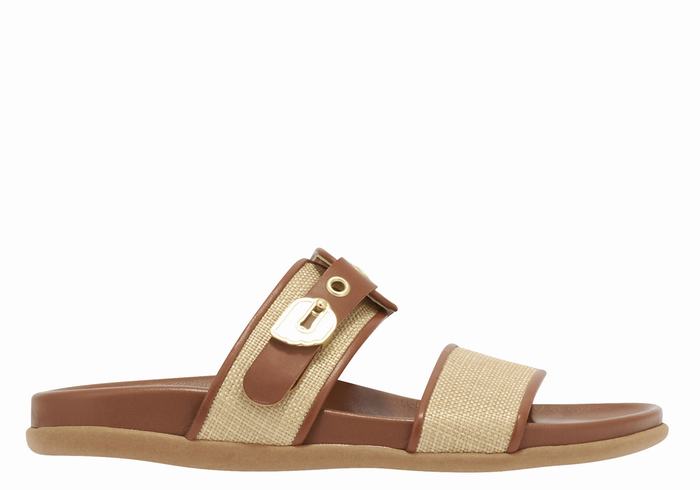 Women Ancient Greek Sandals Latria Slide Sandals Beige Brown | OHE7045DC