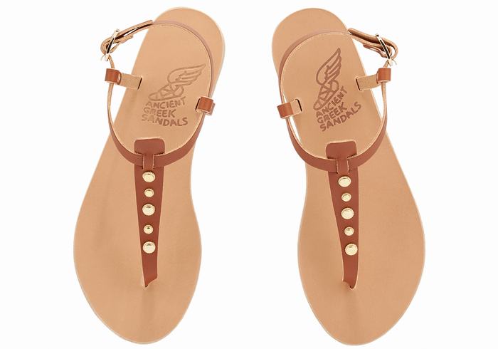 Women Ancient Greek Sandals Lito Bee Back-Strap Sandals Dark Brown | LHC5077LO