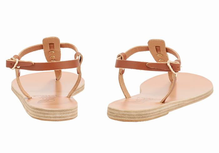 Women Ancient Greek Sandals Lito Bee Back-Strap Sandals Dark Brown | LHC5077LO