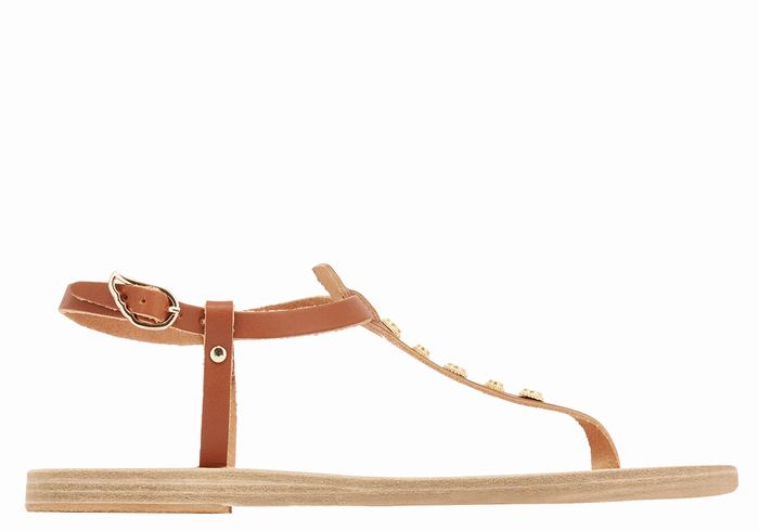 Women Ancient Greek Sandals Lito Bee Back-Strap Sandals Dark Brown | LHC5077LO