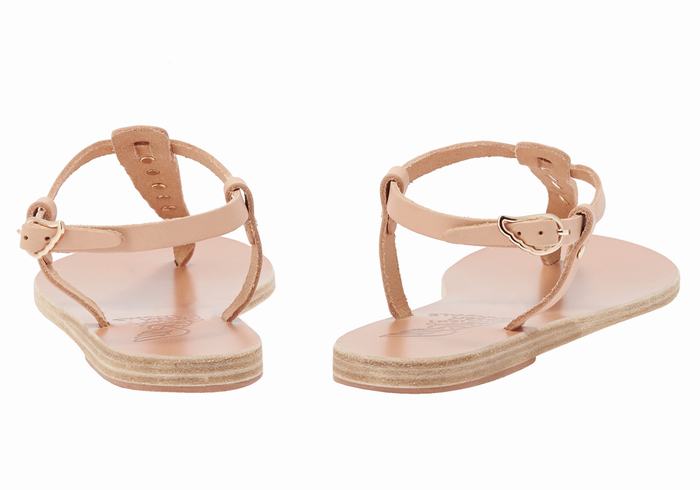 Women Ancient Greek Sandals Lito Bee Back-Strap Sandals Beige | OAF635OZ