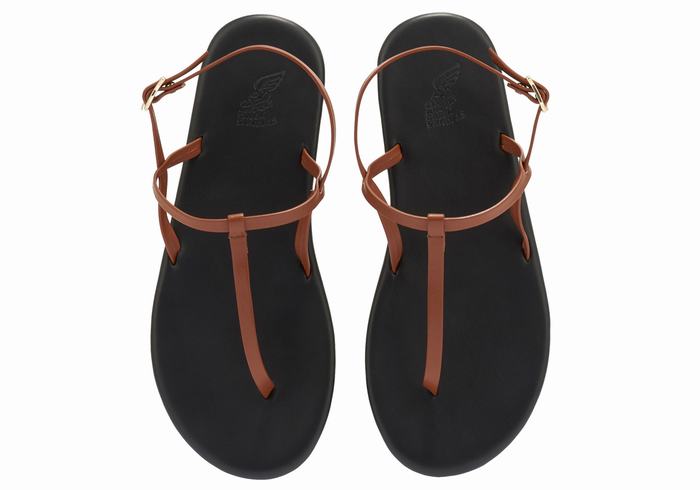 Women Ancient Greek Sandals Lito Flip Flop Back-Strap Sandals Dark Brown | SXA7868PZ