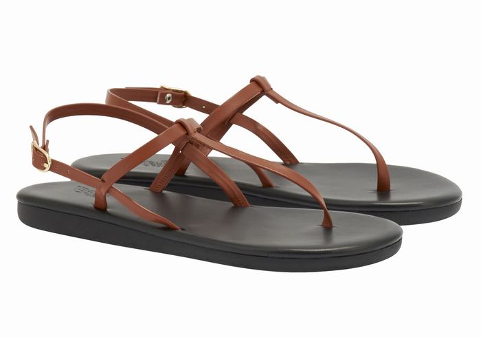 Women Ancient Greek Sandals Lito Flip Flop Back-Strap Sandals Dark Brown | SXA7868PZ