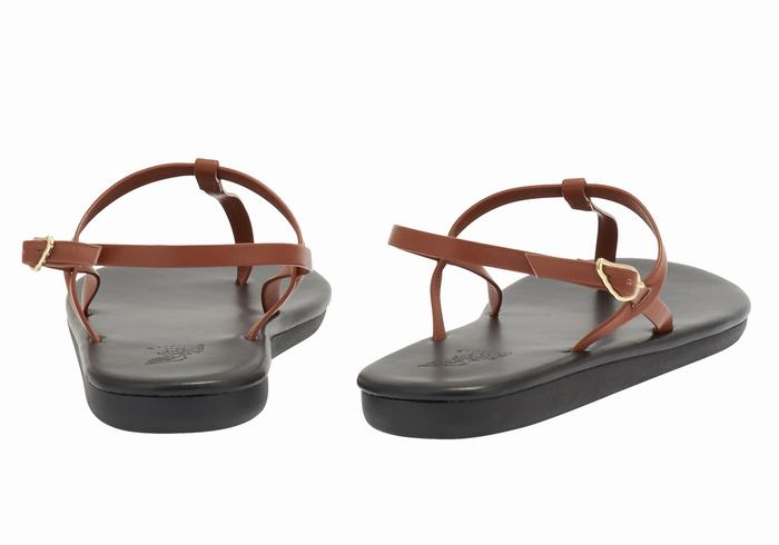 Women Ancient Greek Sandals Lito Flip Flop Back-Strap Sandals Dark Brown | SXA7868PZ