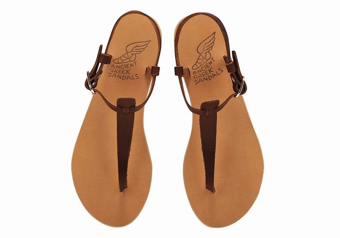 Women Ancient Greek Sandals Lito Flip Flop Leather Back-Strap Sandals Coffee | NVL5959HB