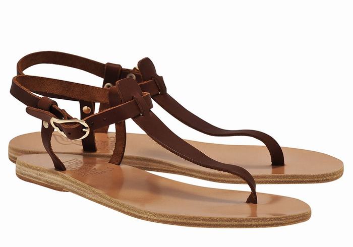 Women Ancient Greek Sandals Lito Flip Flop Leather Back-Strap Sandals Coffee | NVL5959HB