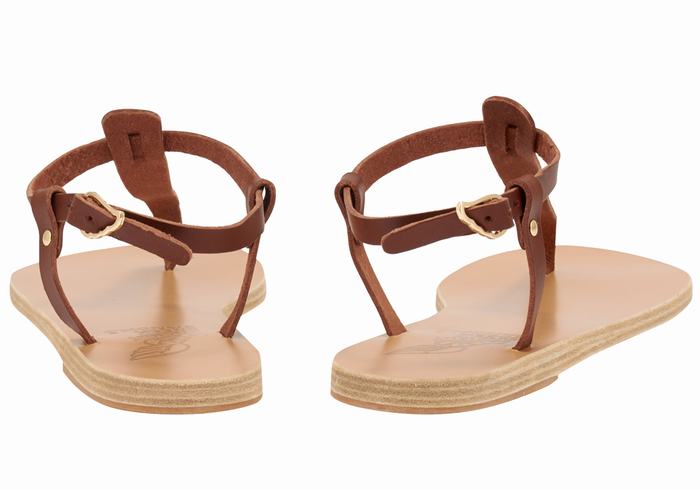 Women Ancient Greek Sandals Lito Flip Flop Leather Back-Strap Sandals Coffee | NVL5959HB