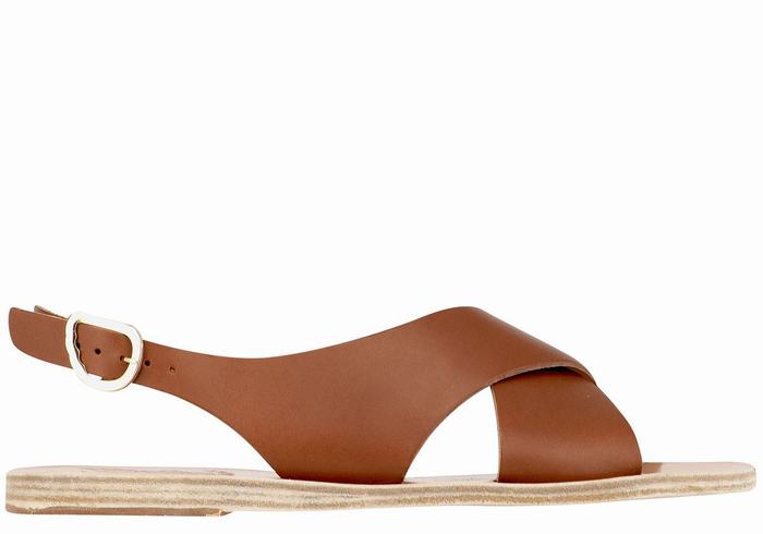 Women Ancient Greek Sandals Maria Leather Casual Sandals Dark Brown | WMD701XQ