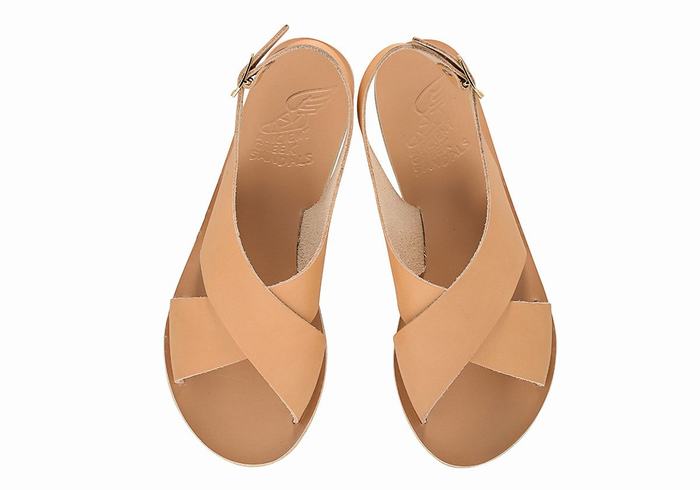 Women Ancient Greek Sandals Maria Leather Casual Sandals Beige | TDM5126AW