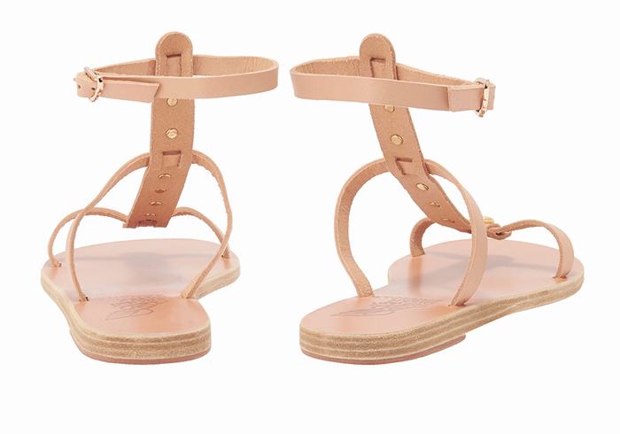 Women Ancient Greek Sandals Meliti Bee Ankle Strap Sandals Beige | LZC7759YE