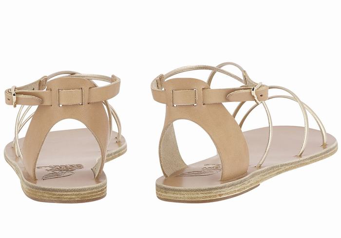 Women Ancient Greek Sandals Meloivia Ankle Strap Sandals Beige Gold White | UDI172QK