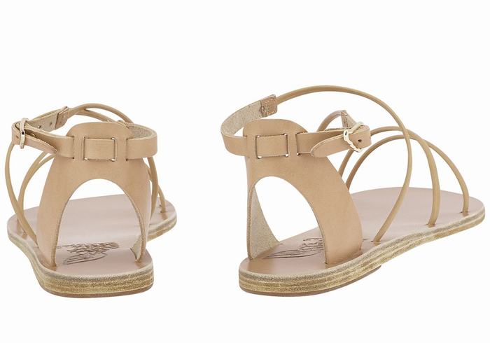 Women Ancient Greek Sandals Meloivia Ankle Strap Sandals Beige | SFX6527WT