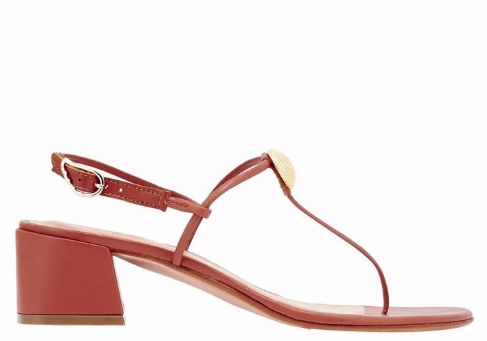 Women Ancient Greek Sandals Mistida Heeled Sandals Red | UQC2773WE