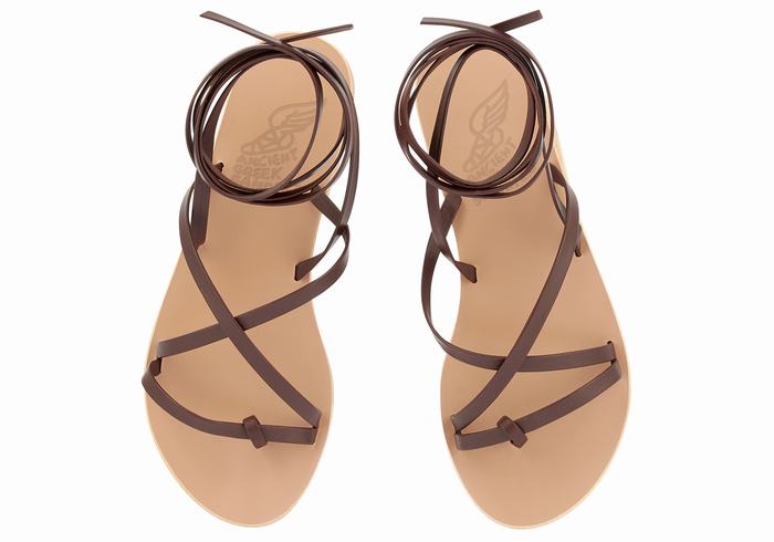 Women Ancient Greek Sandals Morfi Leather Gladiator Sandals Coffee | MCH4929FW