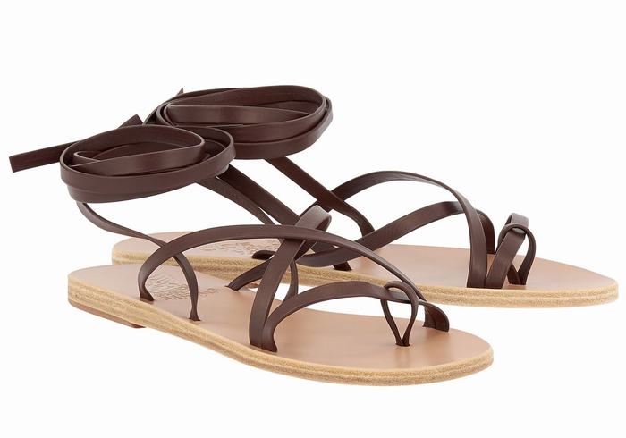 Women Ancient Greek Sandals Morfi Leather Gladiator Sandals Coffee | MCH4929FW