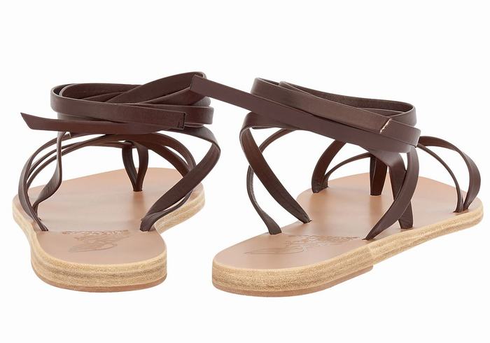 Women Ancient Greek Sandals Morfi Leather Gladiator Sandals Coffee | MCH4929FW