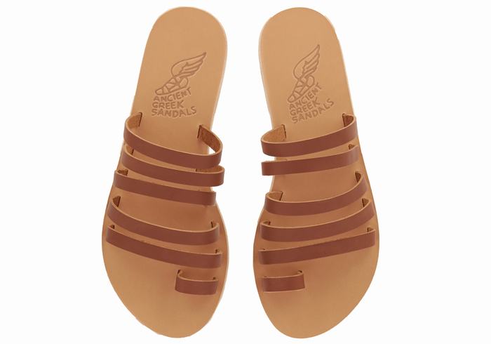 Women Ancient Greek Sandals Niki Leather Toe-Post Sandals Dark Brown | IGD4274QG