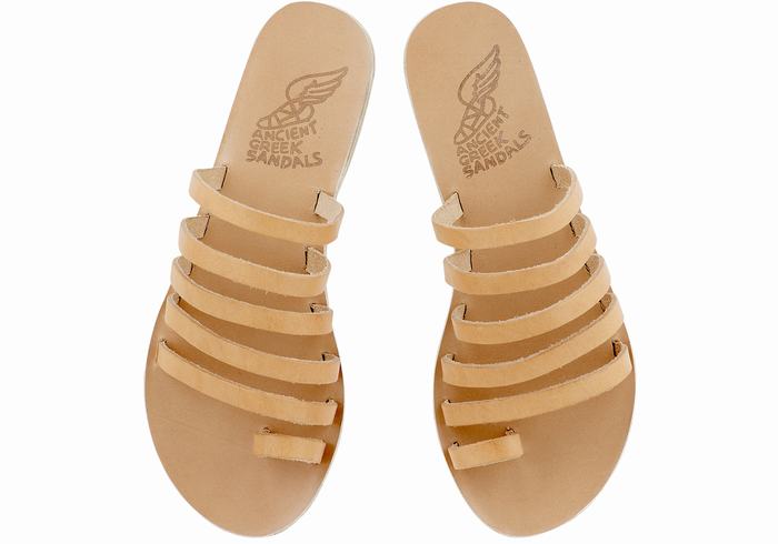 Women Ancient Greek Sandals Niki Leather Toe-Post Sandals Beige | CFO4013TW