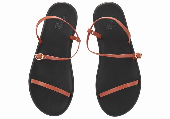 Women Ancient Greek Sandals Niove Back-Strap Sandals Dark Brown | GMO889WC