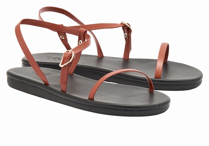 Women Ancient Greek Sandals Niove Back-Strap Sandals Dark Brown | GMO889WC