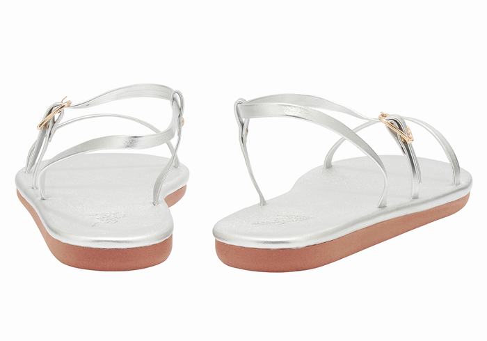 Women Ancient Greek Sandals Niove Back-Strap Sandals Silver | DBO6656JT