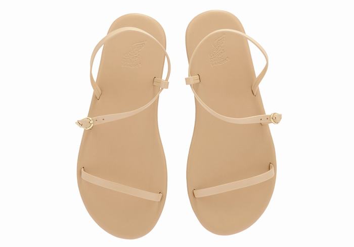 Women Ancient Greek Sandals Niove Back-Strap Sandals Beige | SVD7494ZB