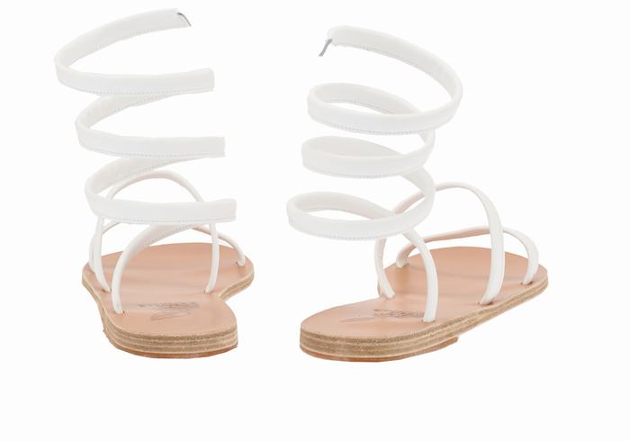 Women Ancient Greek Sandals Ofis Gladiator Sandals White | NRW3052RJ