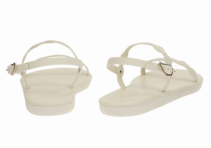 Women Ancient Greek Sandals Orion Back-Strap Sandals White | SXE5316VA